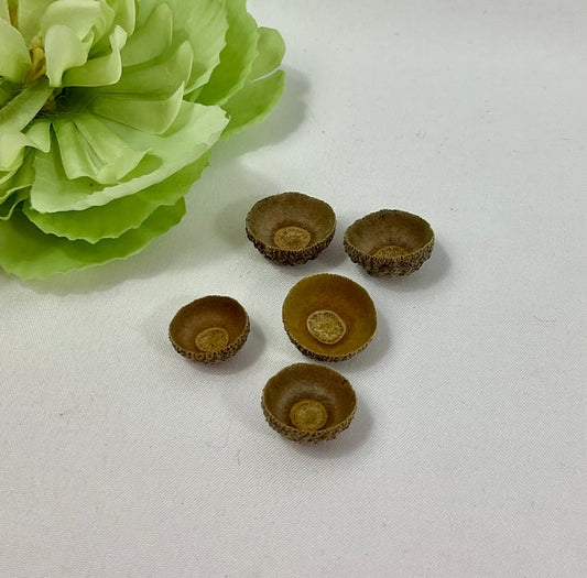 Acorn cups