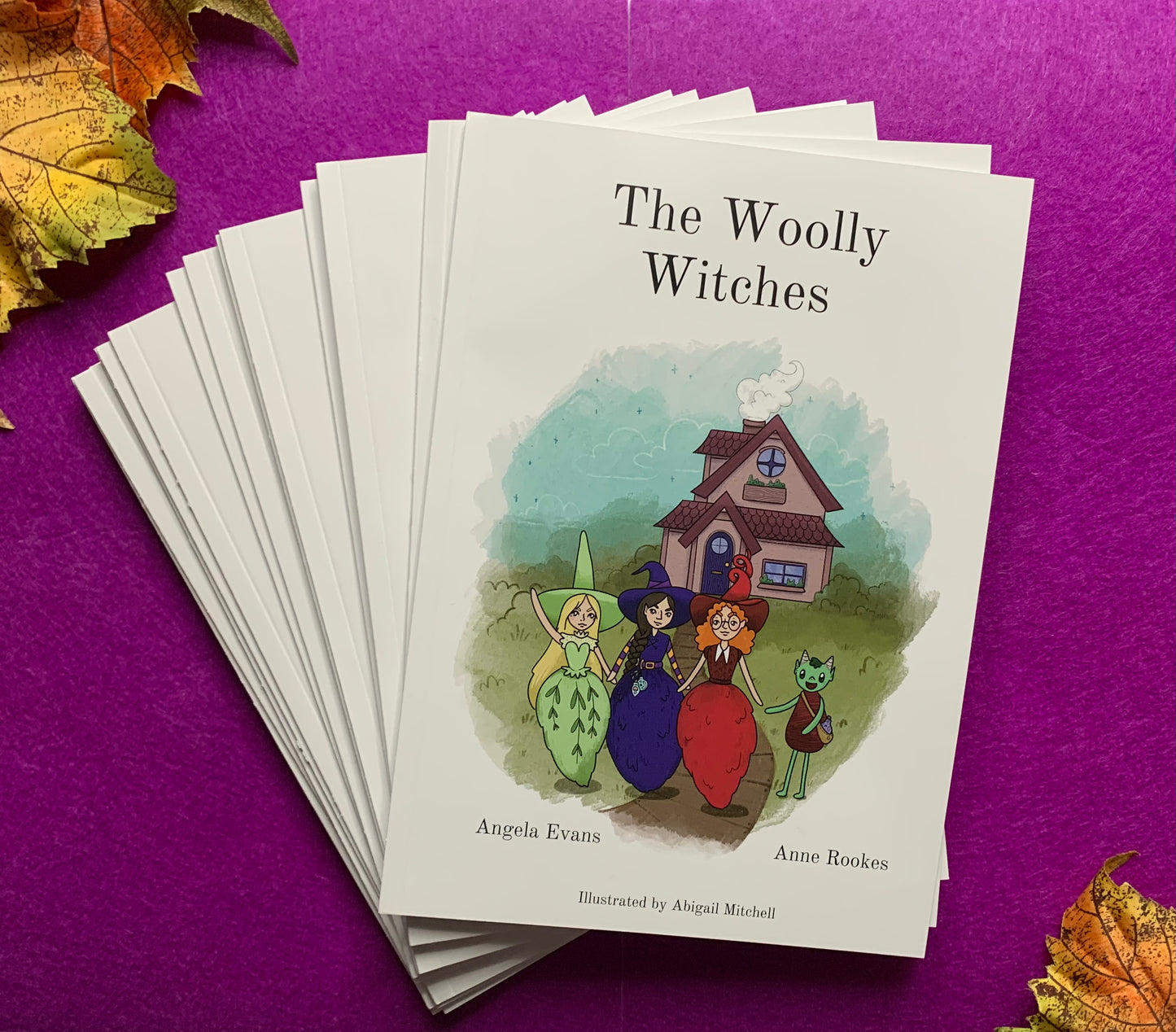 The woolly witches story book